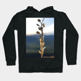 Mountain life Hoodie